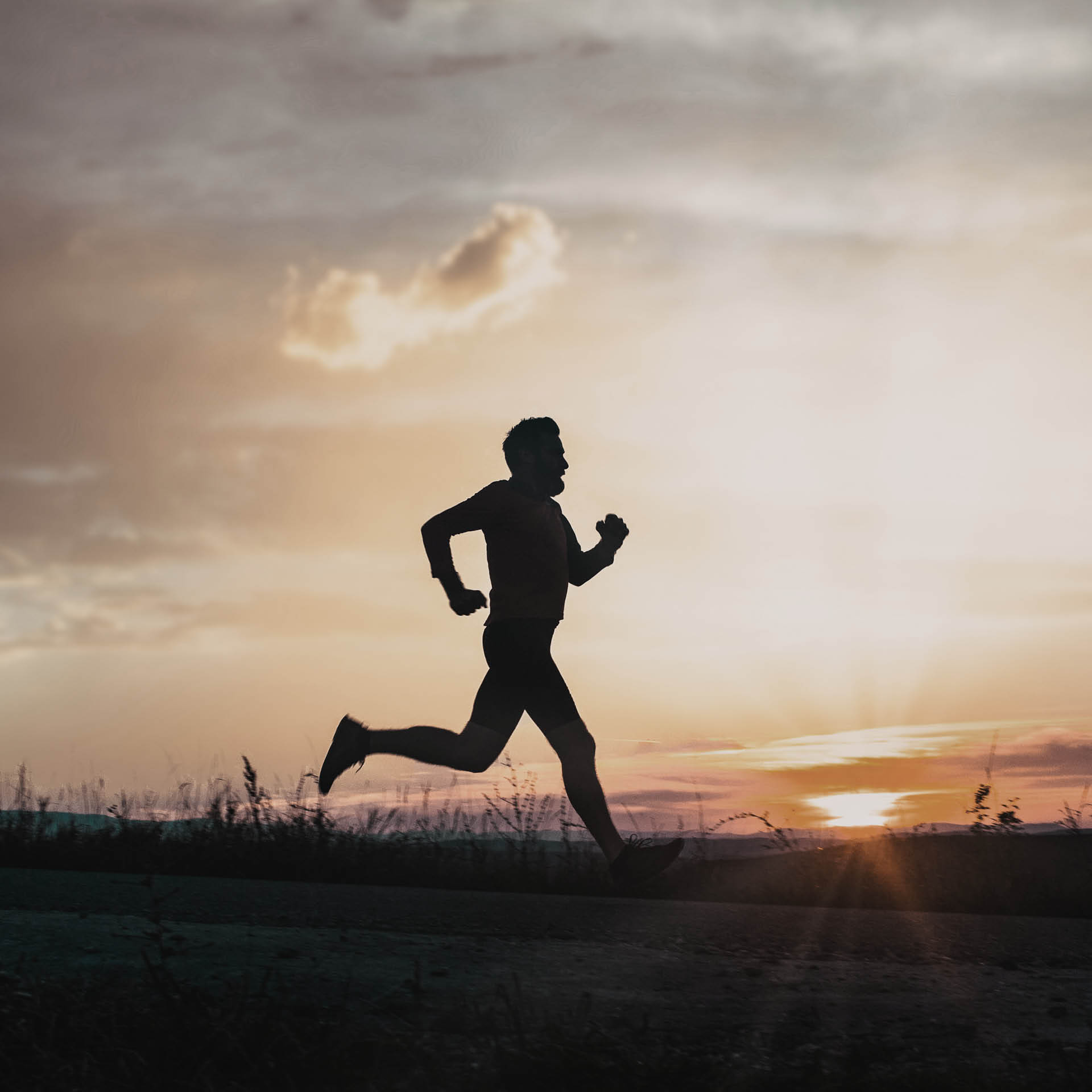 Läufer im Sonnenuntergang - ALPHA RUNNERS